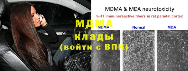 дмт Алексин