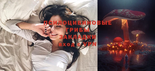 дмт Алексин