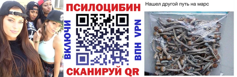 хочу наркоту Феодосия Галлюциногенные грибы мицелий