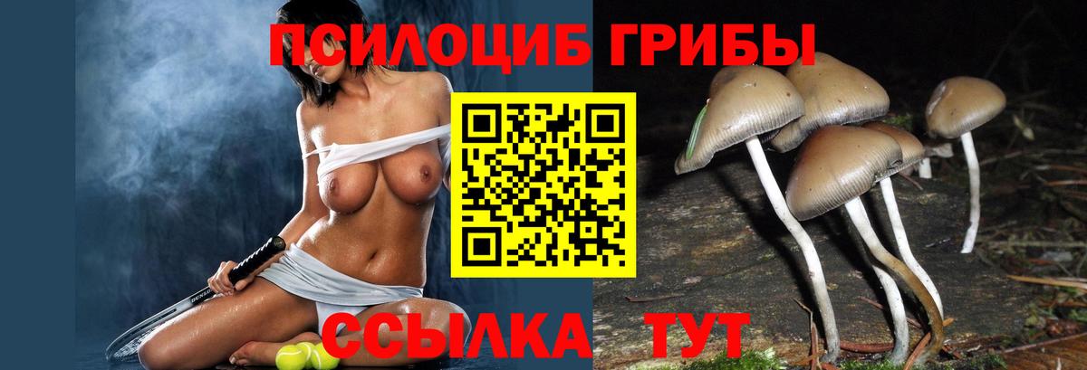Галлюциногенные грибы прущие грибы Феодосия